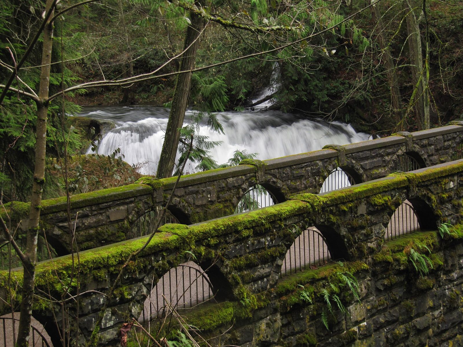 The mossy stone bridge at Whatcom Falls Park