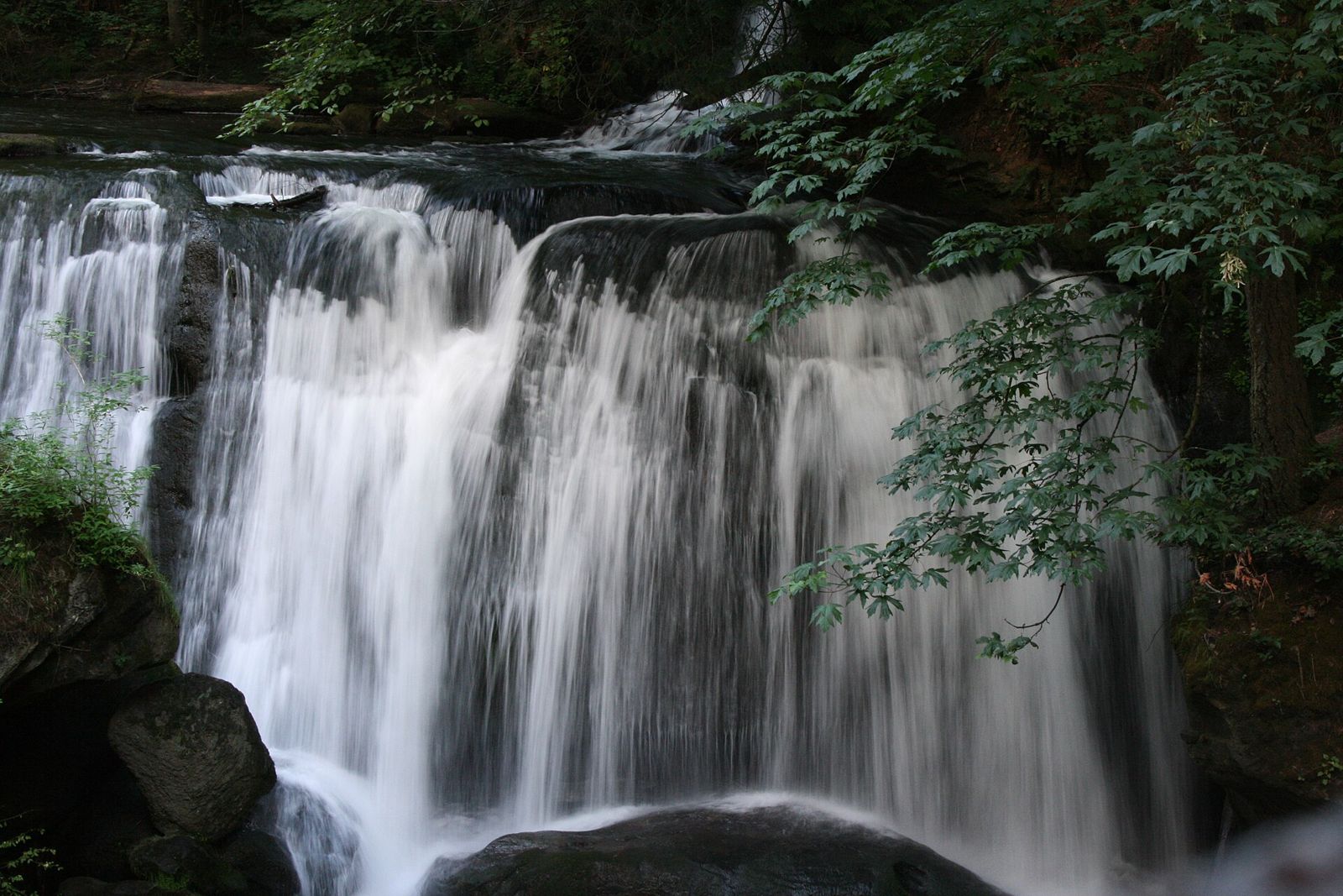 Whatcom Falls surrounded by moss and evergreen trees